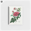 アートメモ帳-Rosa Gallica Illustration
 - 薬用植物学 Memo.
