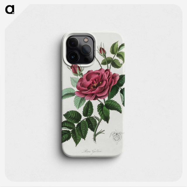 1-7_Medical-Botany_phone