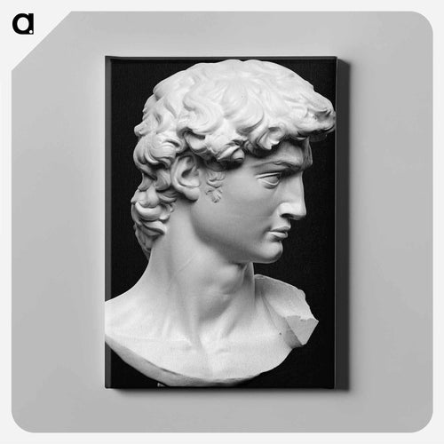 Head from the statue of David by Michelangelo Buonarroti - ミケランジェロ ブオナローティ Canvas.