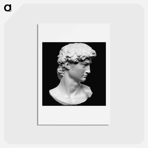 Head from the statue of David by Michelangelo Buonarroti - ミケランジェロ ブオナローティ Postcard.