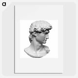 Head from the statue of David by Michelangelo Buonarroti - ミケランジェロ ブオナローティ Poster.