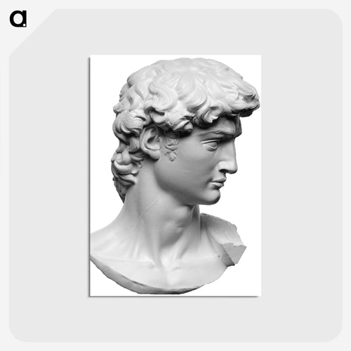 Head from the statue of David by Michelangelo Buonarroti - ミケランジェロ ブオナローティ Postcard.