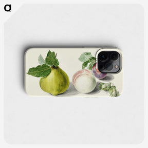1-7_Michiel-van-Huysum_phone