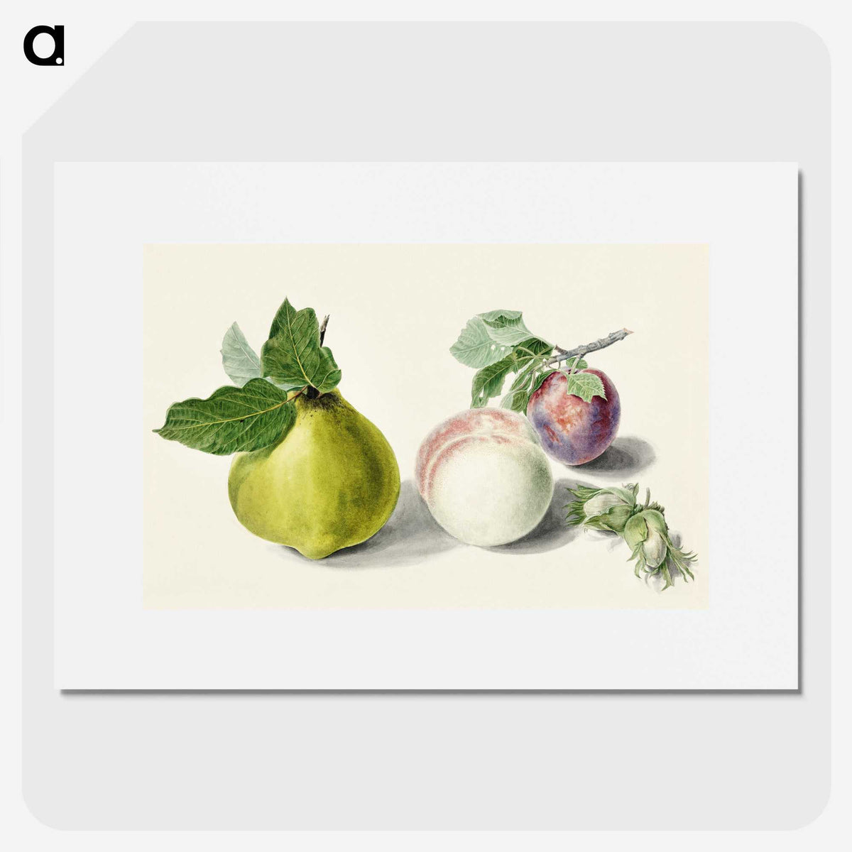 1-7_Michiel-van-Huysum_picture