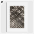 1-7_Milos-Dohnany_picture