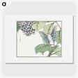 1-7_Morimoto-Tokaku_picture