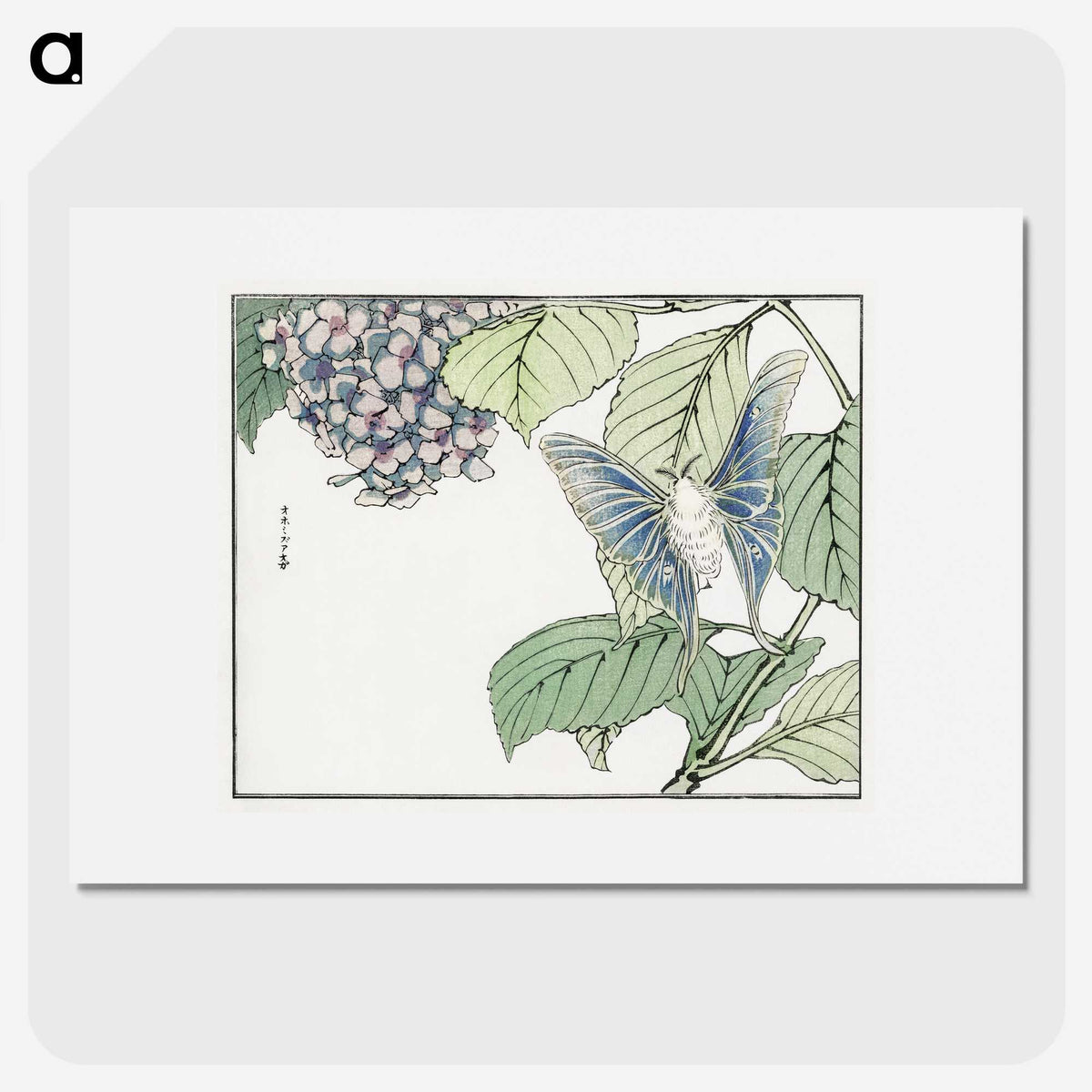 1-7_Morimoto-Tokaku_picture
