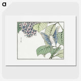 1-7_Morimoto-Tokaku_picture