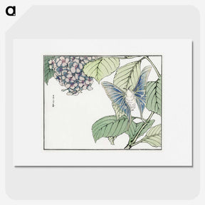 1-7_Morimoto-Tokaku_picture