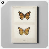 1-7_Moths-and-Butterflies-of-the-United-States_canvas
