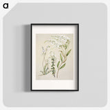 1-7_Native-Flowering-Plants-of-New-Zealand_blk