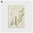 1-7_Native-Flowering-Plants-of-New-Zealand_postcard