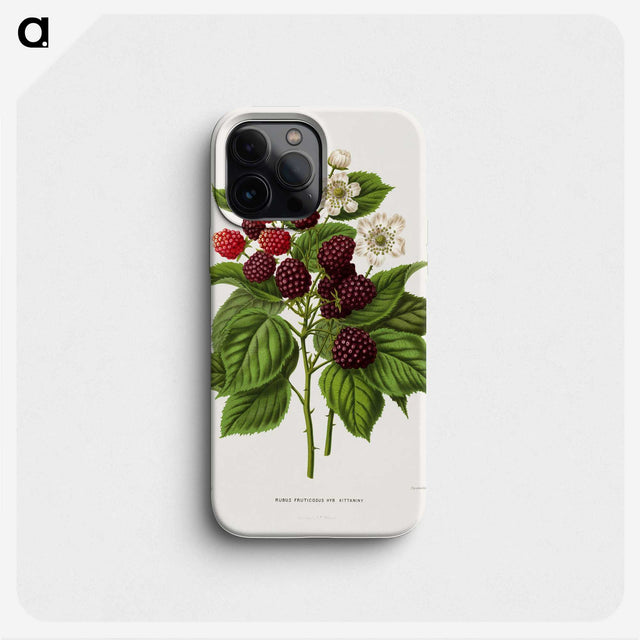 1-7_Nederlandsche-Flora-en-Pomona_phone