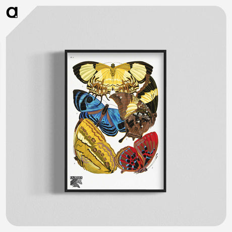 1-7_Papillons_blk-crop