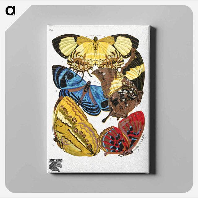 アートパネル-Vintage Butterflies
 - パピヨン Canvas.