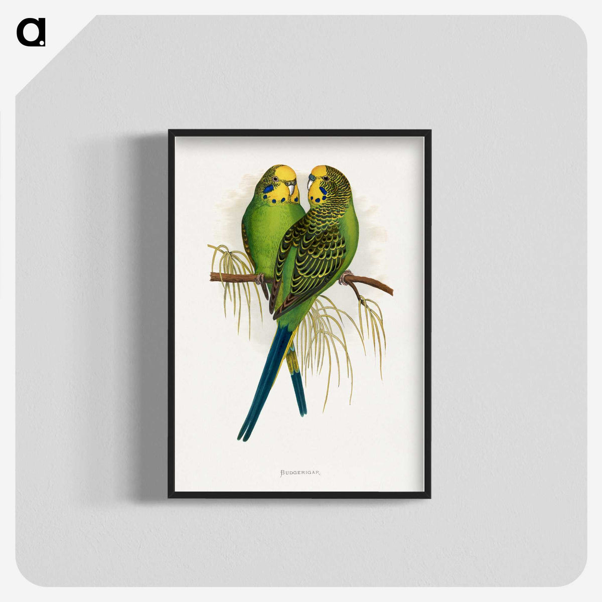 1-7_Parrots-in-Captivity_blk-crop