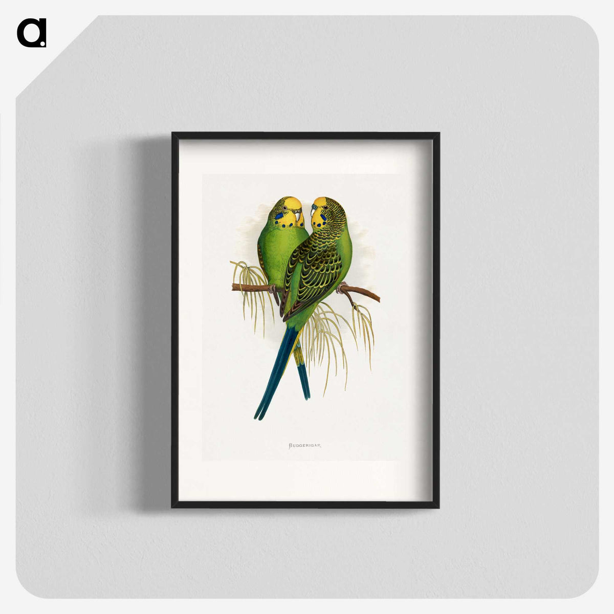 1-7_Parrots-in-Captivity_blk