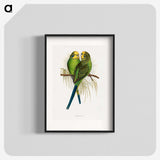 1-7_Parrots-in-Captivity_blk