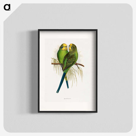 1-7_Parrots-in-Captivity_blk