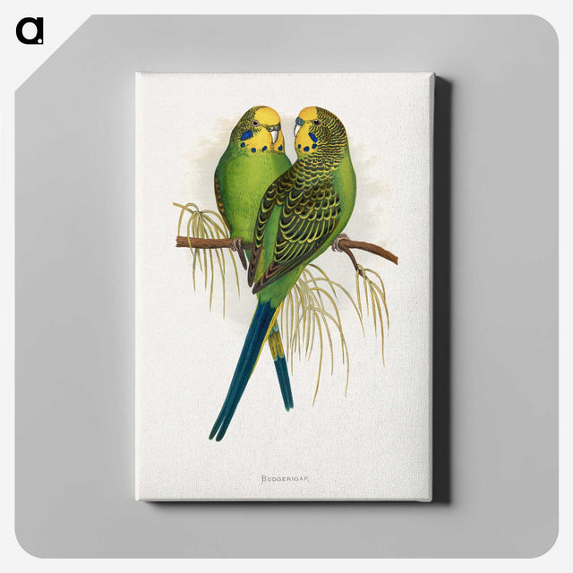 1-7_Parrots-in-Captivity_canvas