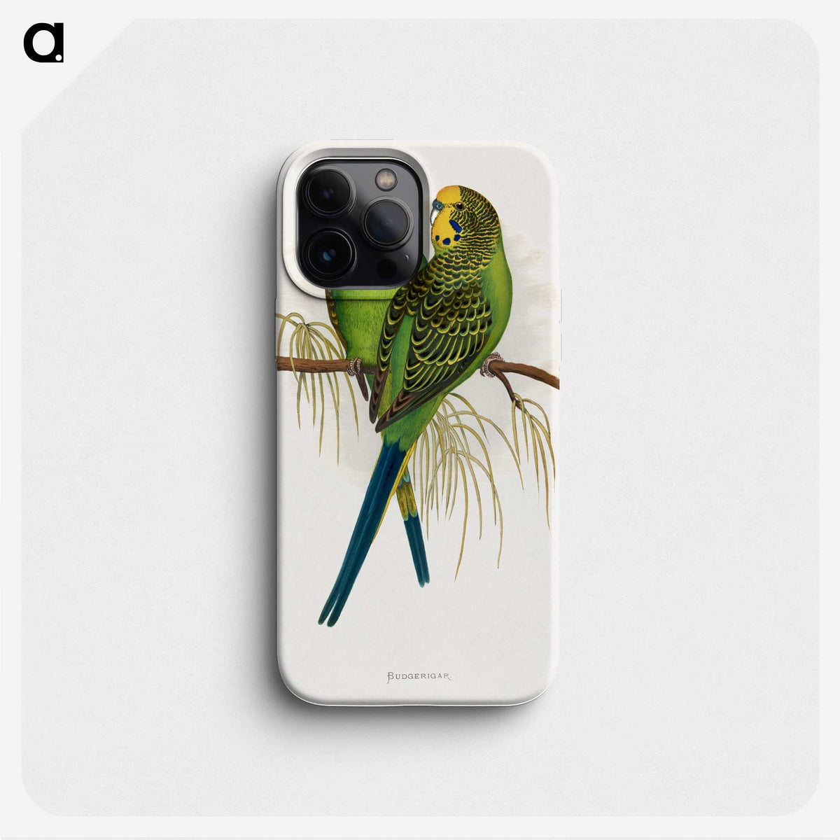 1-7_Parrots-in-Captivity_phone