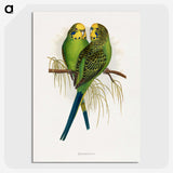 1-7_Parrots-in-Captivity_picture-crop