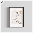 アートポスター-Japanese Long-tailed Tit and Maple Tree
 - 鳥類図鑑 Poster.