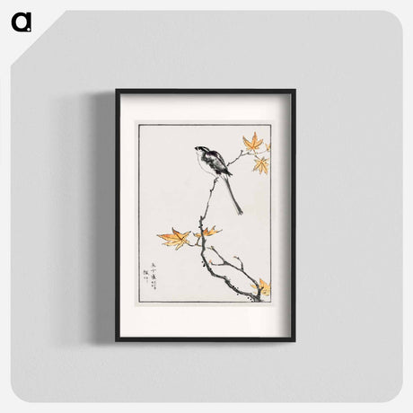 アートポスター-Japanese Long-tailed Tit and Maple Tree
 - 鳥類図鑑 Poster.