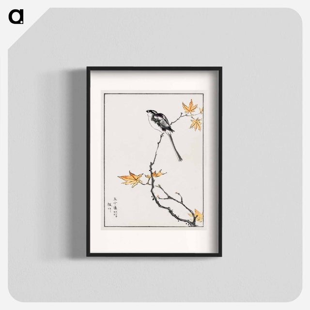 アートポスター-Japanese Long-tailed Tit and Maple Tree
 - 鳥類図鑑 Poster.
