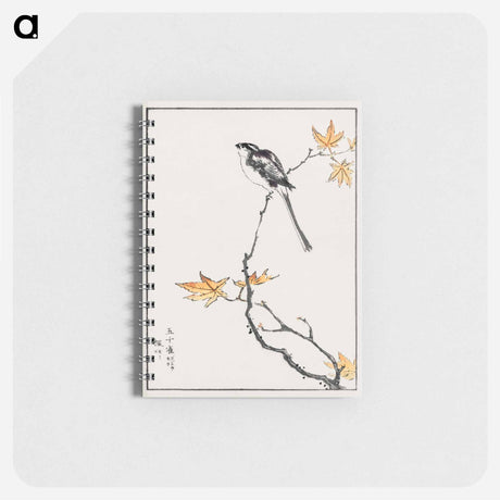 アートメモ帳-Japanese Long-tailed Tit and Maple Tree
 - 鳥類図鑑 Memo.