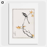 アートポスター-Japanese Long-tailed Tit and Maple Tree
 - 鳥類図鑑 Poster.
