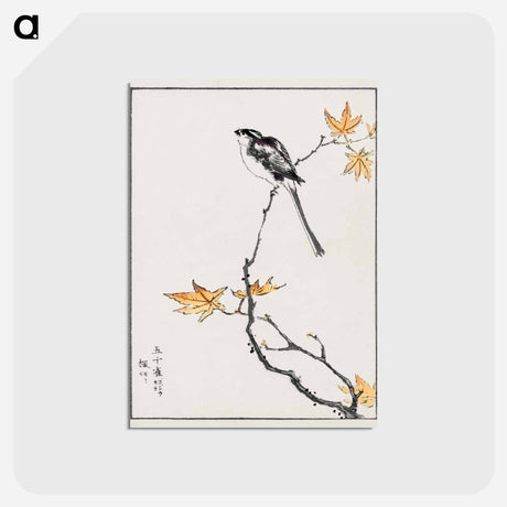 アートポストカード-Japanese Long-tailed Tit and Maple Tree
 - 鳥類図鑑 Postcard.