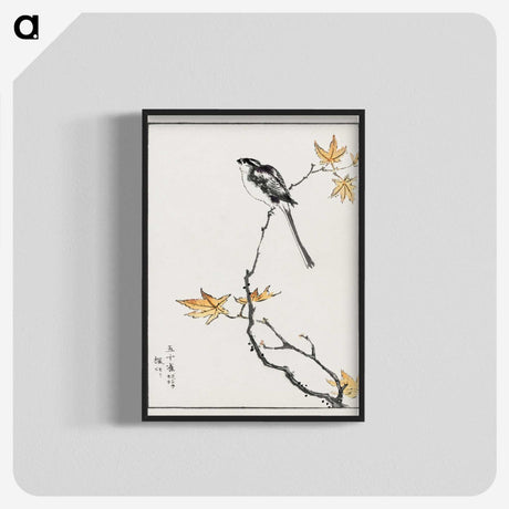 1-7_Pictorial-Monograph-of-Birds_blk-crop