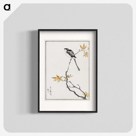 1-7_Pictorial-Monograph-of-Birds_blk