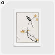 1-7_Pictorial-Monograph-of-Birds_hagaki