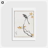 1-7_Pictorial-Monograph-of-Birds_hagaki