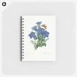 1-7_Pierre-Joseph-Redoute_memo