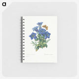 1-7_Pierre-Joseph-Redoute_memo