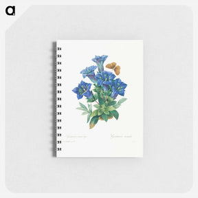 アートメモ帳-Gentiana Acaulis - ピエール ジョゼフ ルドゥーテ Memo.