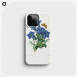 1-7_Pierre-Joseph-Redoute_phone