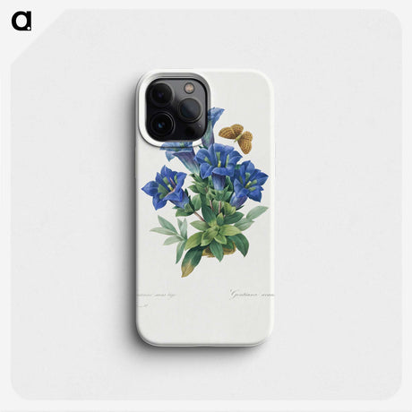 1-7_Pierre-Joseph-Redoute_phone