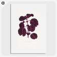 1-7_Plants-with-Colored-Foliage_picture