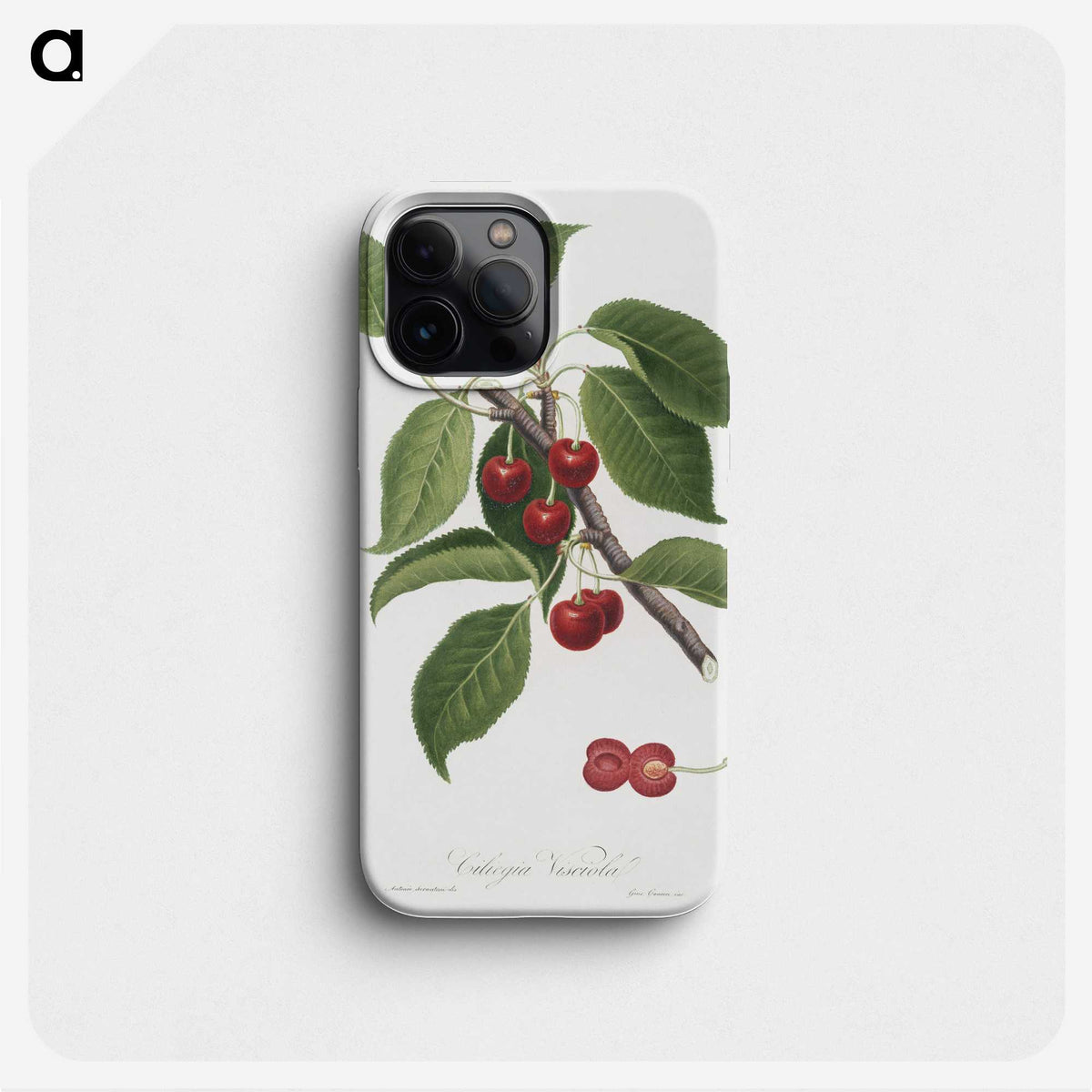 1-7_Pomona-Italiana_phone