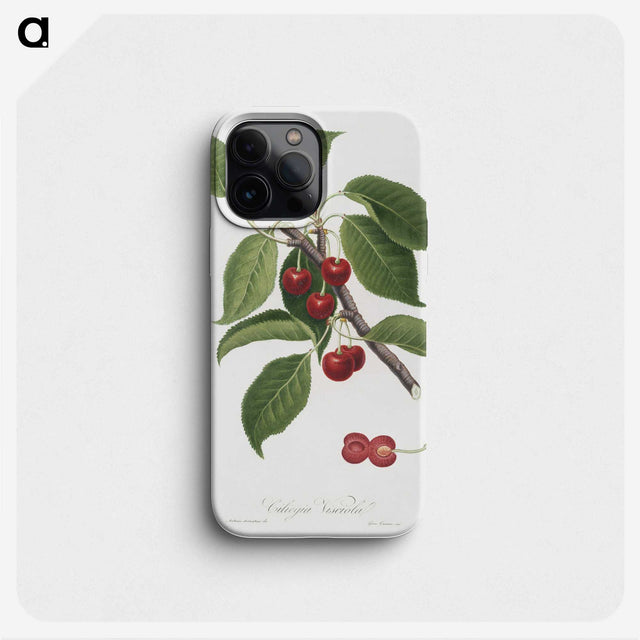 1-7_Pomona-Italiana_phone