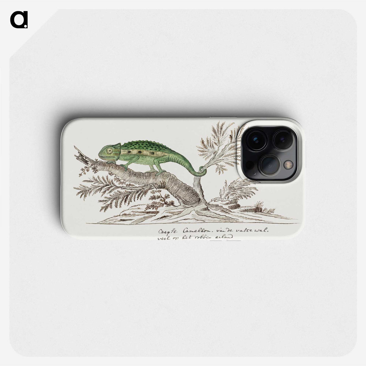 1-7_Robert-Jacob-Gordon_phone