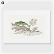 1-7_Robert-Jacob-Gordon_picture