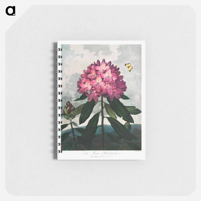 アートメモ帳-The Pontic Rhododendron
 - ロバート ジョン ソーントン Memo.