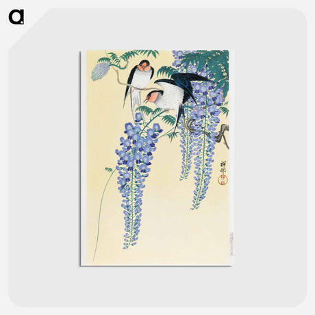 アートポストカード-Swallows and Wisteria
 - セントルイス美術館 Postcard.