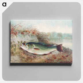 アートパネル-Largemouth Bass
 - サミュエル キルボーン Canvas.
