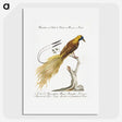 1-7_Saverio-Manetti_picture